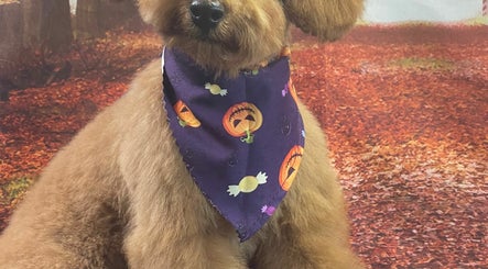Doggy Stylin Pet Parlor image 2