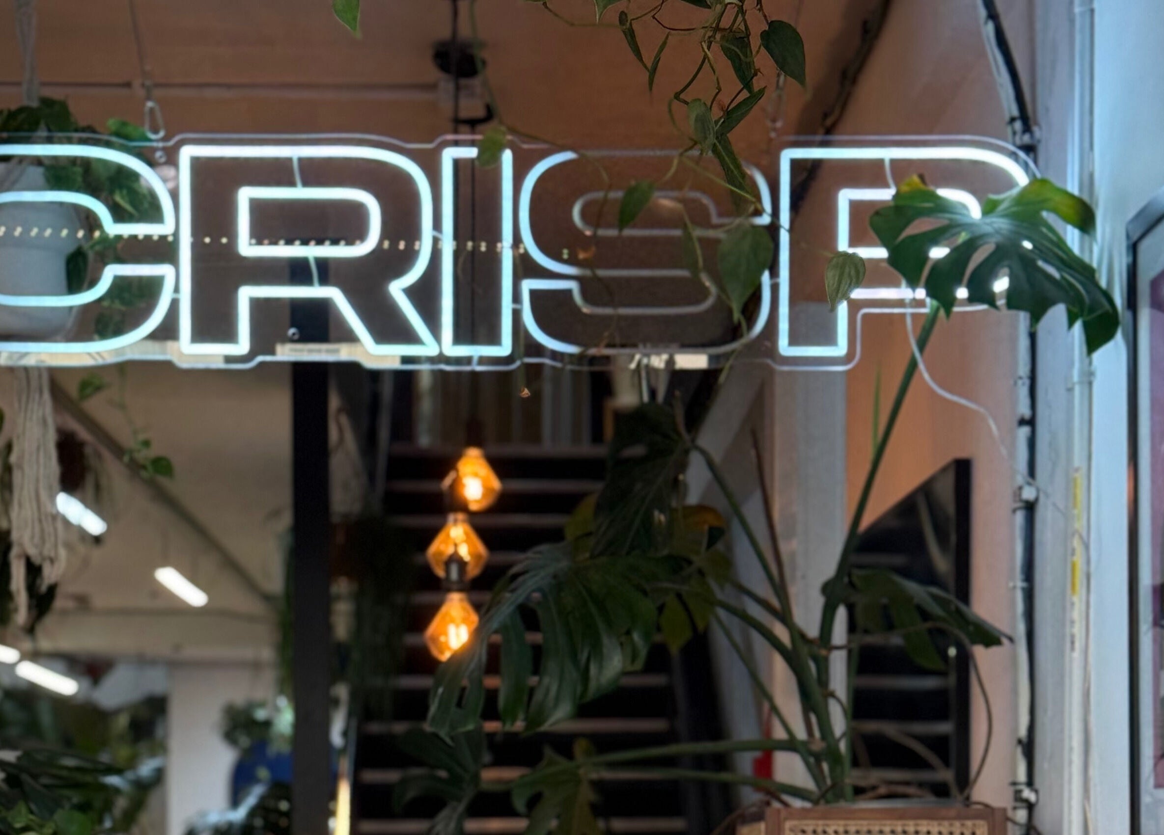 Neon sign reading CRISP in plant-filled entry of CRISP BRISTOL, located in Bristol, England, GB.