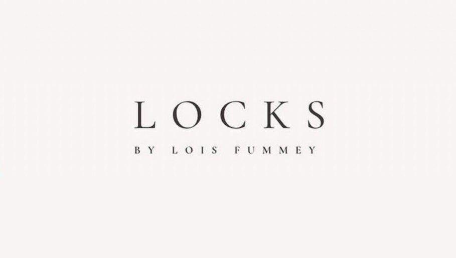 Immagine 1, Locks by Lois Fummey