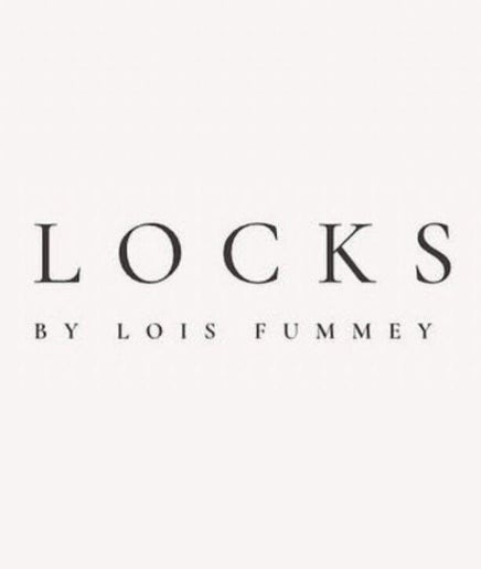 Immagine 2, Locks by Lois Fummey