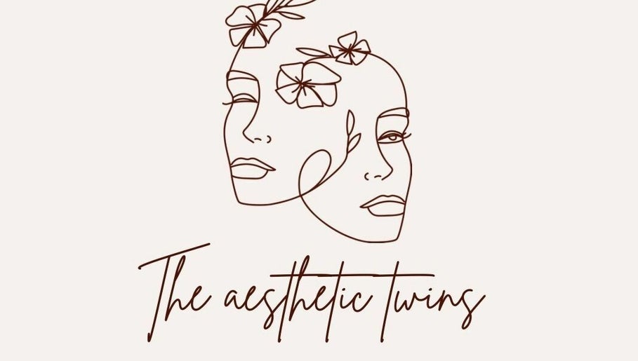 The Aesthetic Twins image 1
