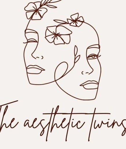 The Aesthetic Twins image 2