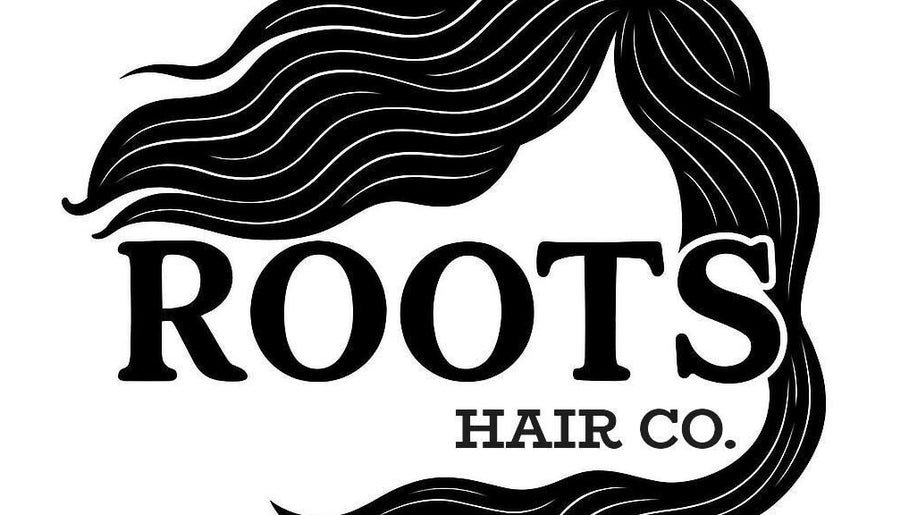 Logo of Roots Hair & Co in Needham Market, England, featuring elegant flowing hair design.