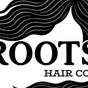 Roots Hair & Co
