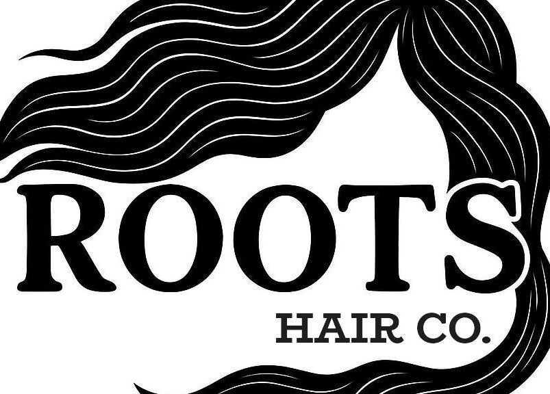 Logo of Roots Hair & Co, a hair salon in Needham Market, England, GB with flowing hair design.