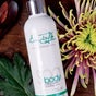 Pure Holistic Therapy
