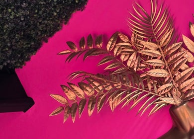 Golden foliage display at Shepack Beauty in Paignton, England, GB against a vibrant pink wall.