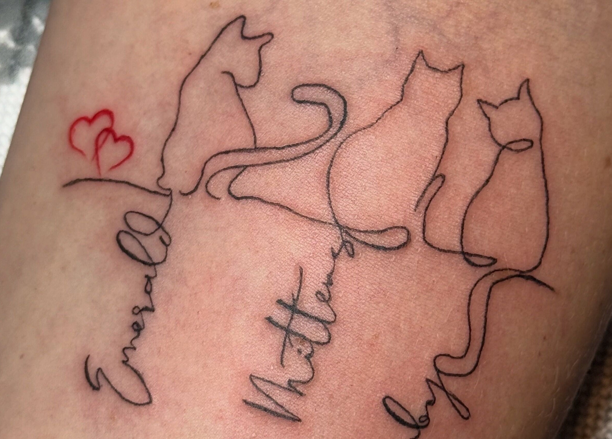 Elegant feline tattoo design at Ashley Blakemore Beauty & PMU, Cheadle, England, GB.