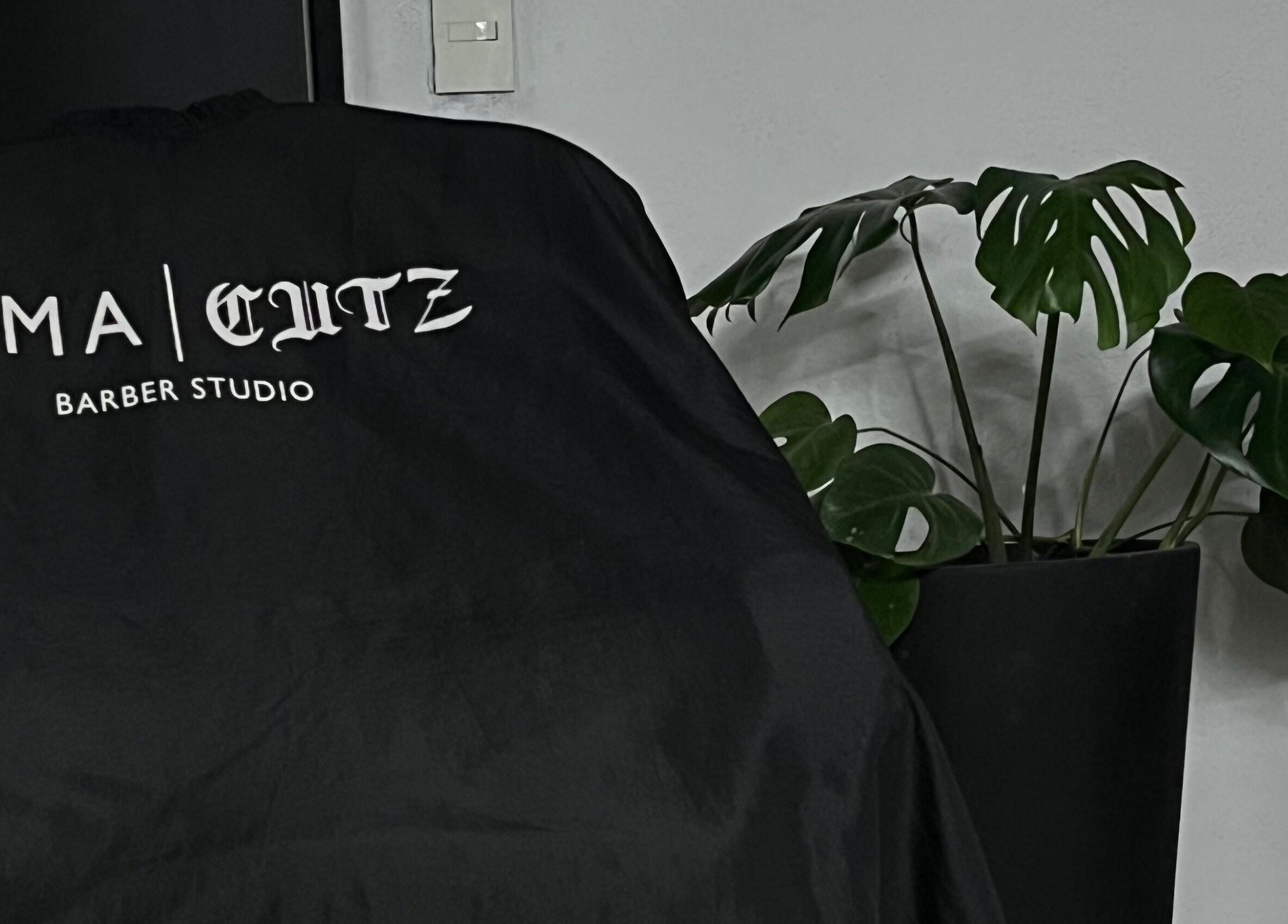 Silla de peluquería en 𝕮𝖚𝖙𝖟 studio, Pilar, Provincia De Buenos Aires, AR, junto a planta decorativa.