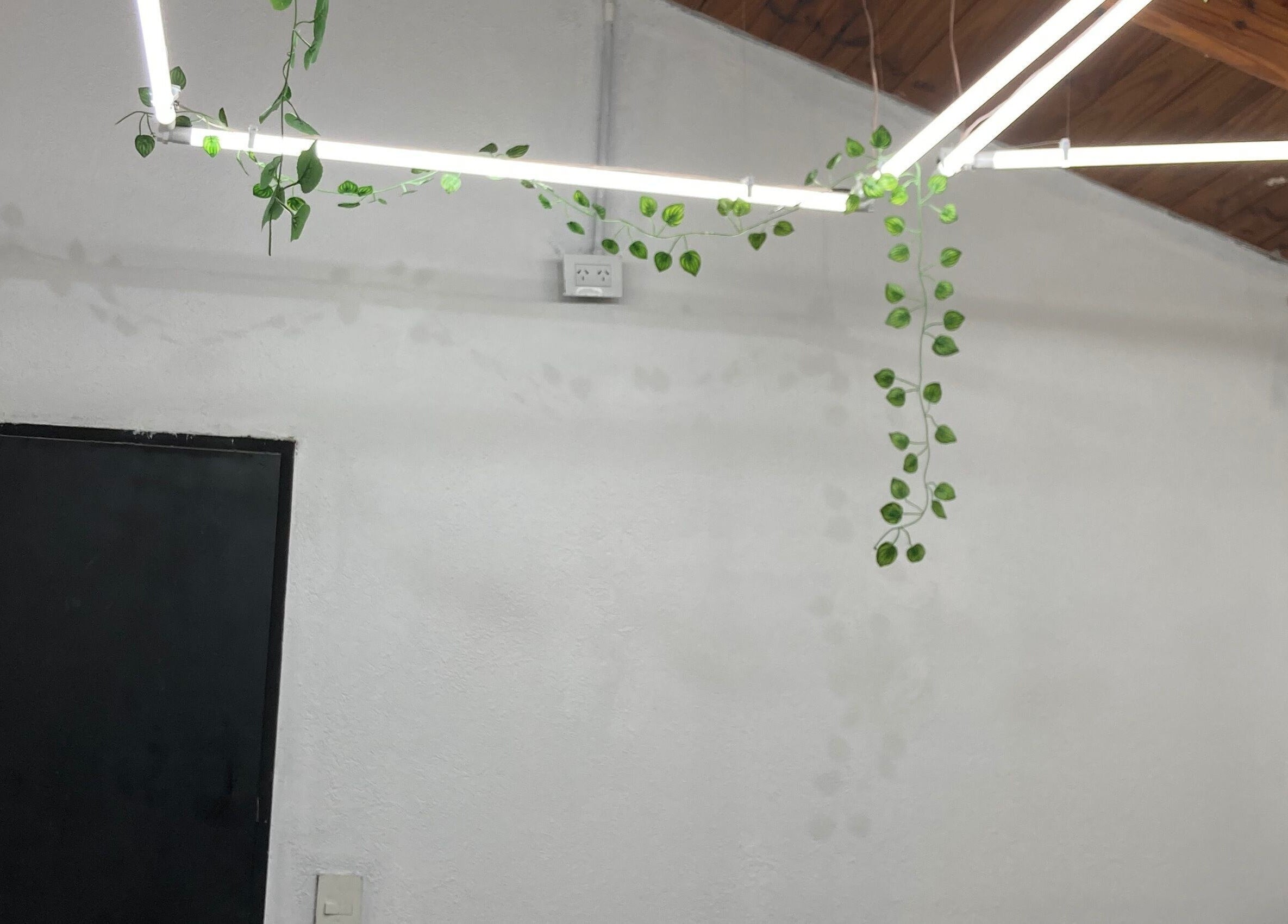 Iluminación moderna en 𝕮𝖚𝖙𝖟 studio, Pilar, Provincia De Buenos Aires, AR con plantas decorativas.