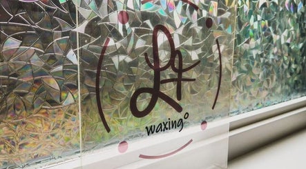 LF Waxing image 3