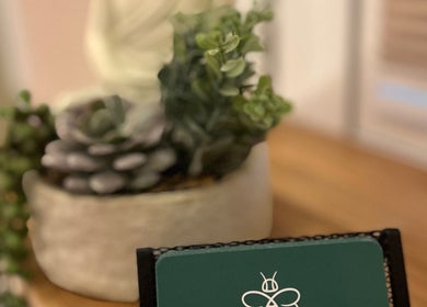 Close-up of succulent plant and Humblebee Wellness card at Saint Leonards, England, GB.