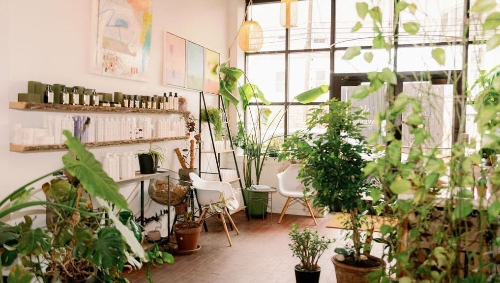 Tranquil spa interior at Lavender, Portland, Maine, US, featuring lush plants and cozy seating.
