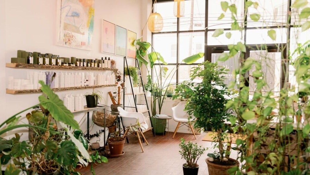 Tranquil spa interior at Lavender, Portland, Maine, US, featuring lush plants and cozy seating.