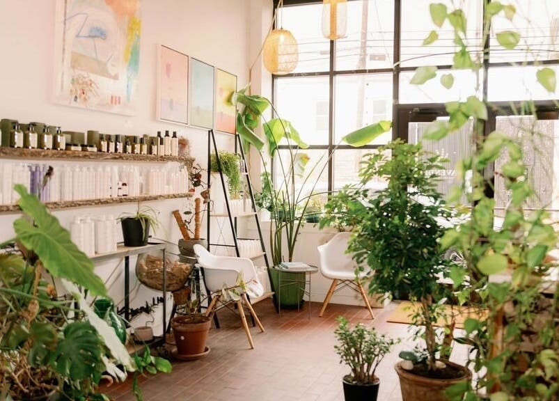 Tranquil spa interior at Lavender, Portland, Maine, US, featuring lush plants and cozy seating.