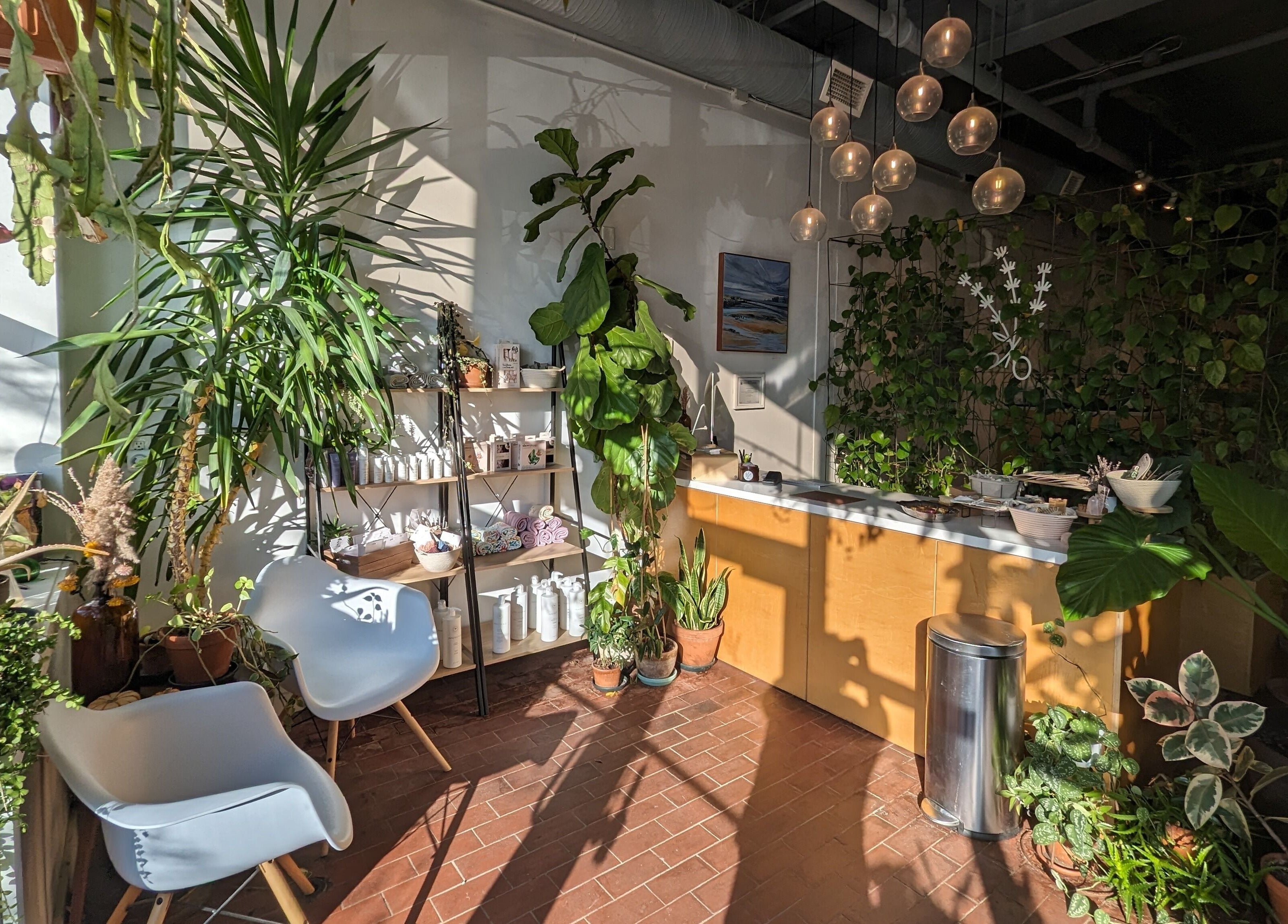 Lush plants in reception area of Lavender, Portland, Maine, US, creating a calming sanctuary.