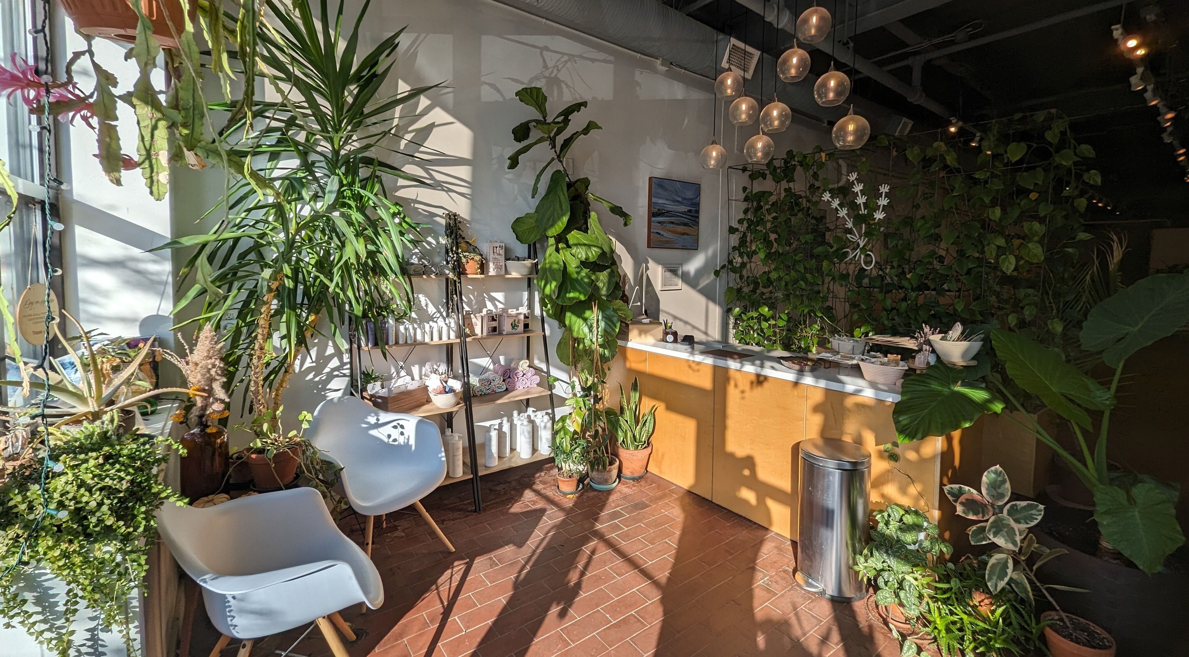 Lush plants in reception area of Lavender, Portland, Maine, US, creating a calming sanctuary.