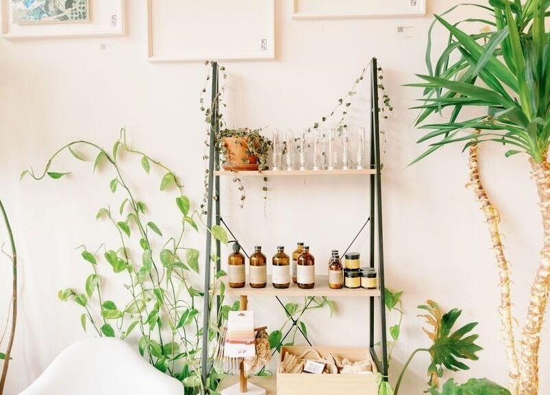 Lavender's serene plant display and wellness products in Portland, Maine, US.