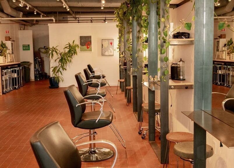 Chic salon interior at Lavender in Portland, Maine, US with sleek chairs and lush greenery.