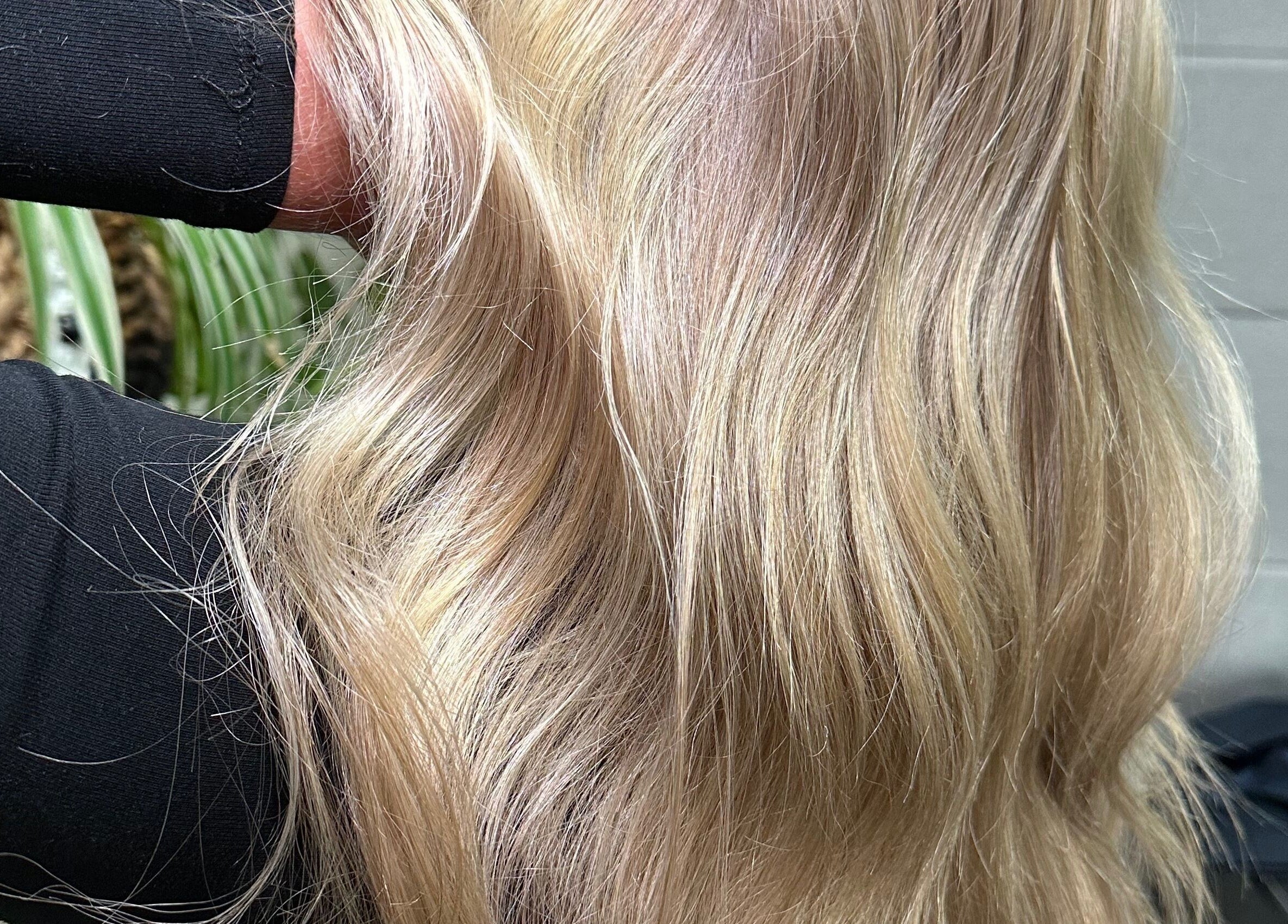 Stunning blonde hairstyle at Hair by Taysha, Canberra, Australian Capital Territory, AU.
