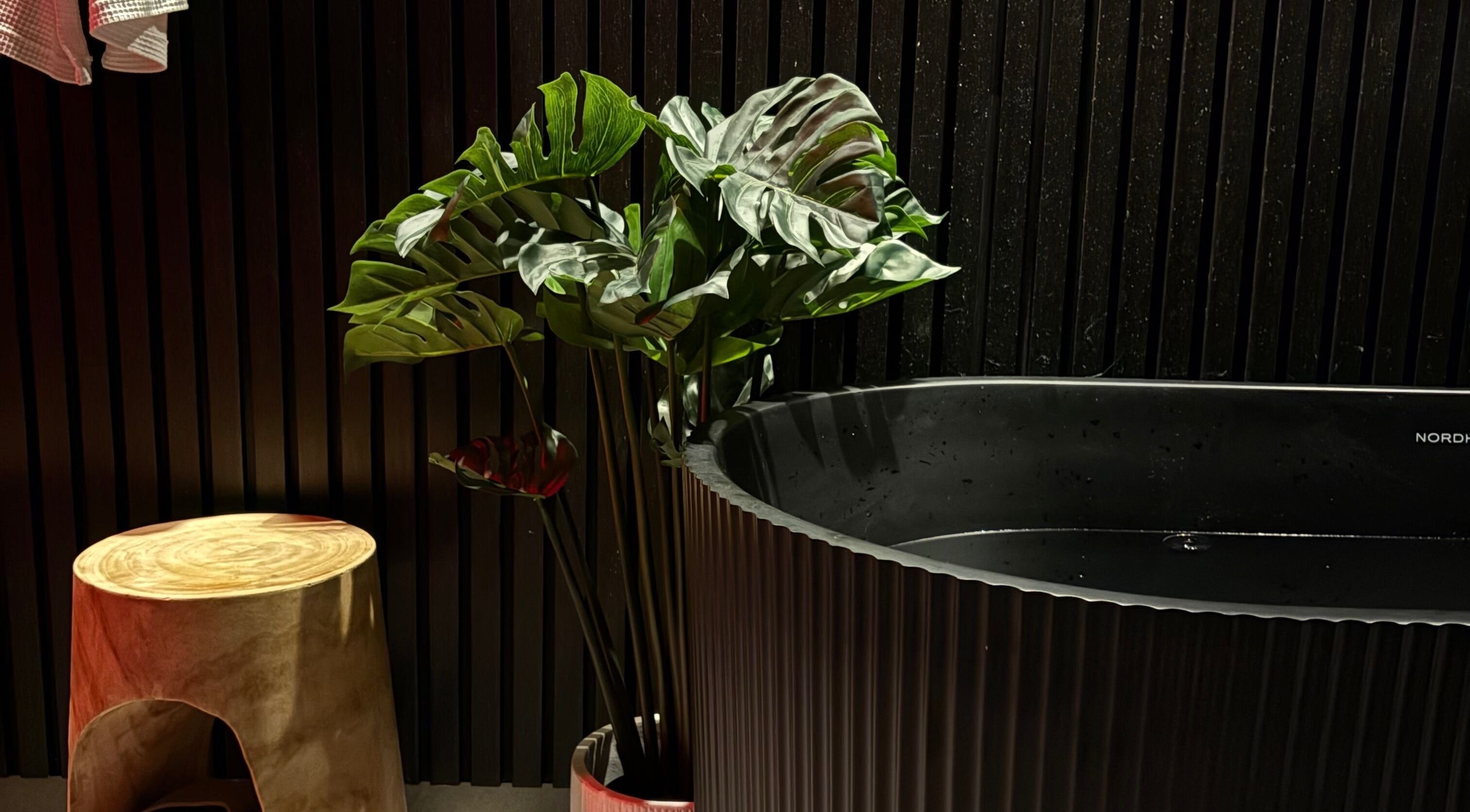 Stylish black bathtub and plant at IFlow drips inside laser me nowra, Nowra, New South Wales, AU.
