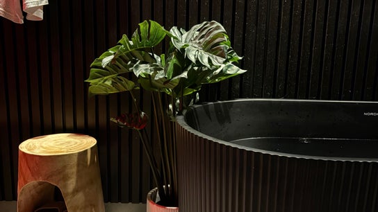 Stylish black bathtub and plant at IFlow drips inside laser me nowra, Nowra, New South Wales, AU.