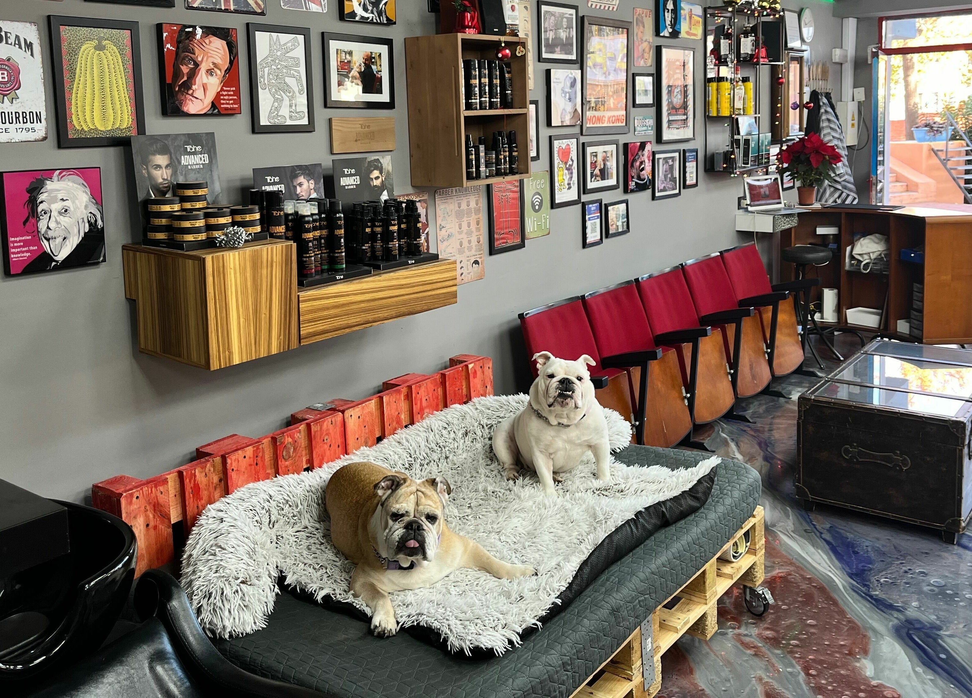 Cozy seating area with bulldogs at Mr. Lee's Barbershop, Magaluf, Illes Balears, ES.