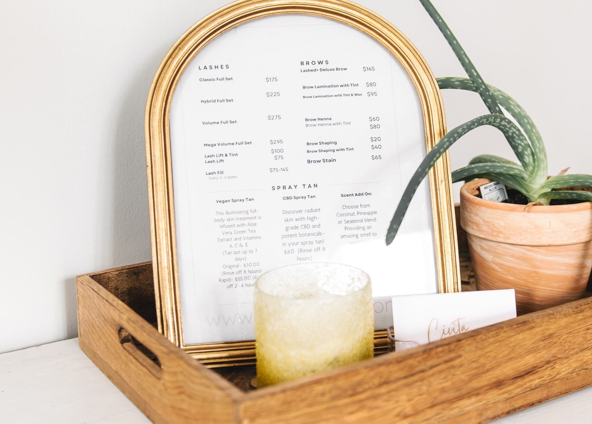 Framed menu and aloe plant at Lashed+ Norwell, Massachusetts, US highlighting beauty services and prices.
