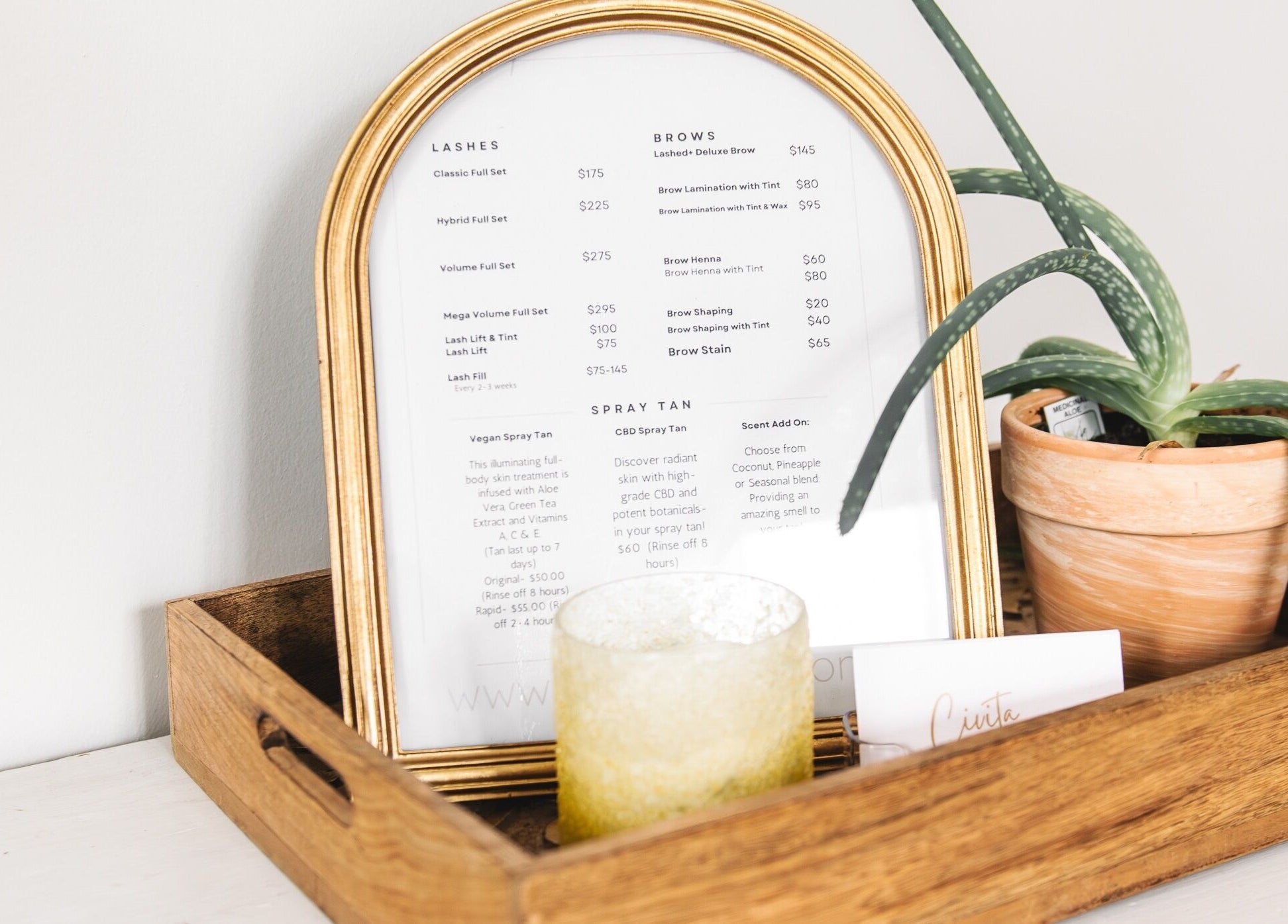 Framed menu and aloe plant at Lashed+ Norwell, Massachusetts, US highlighting beauty services and prices.