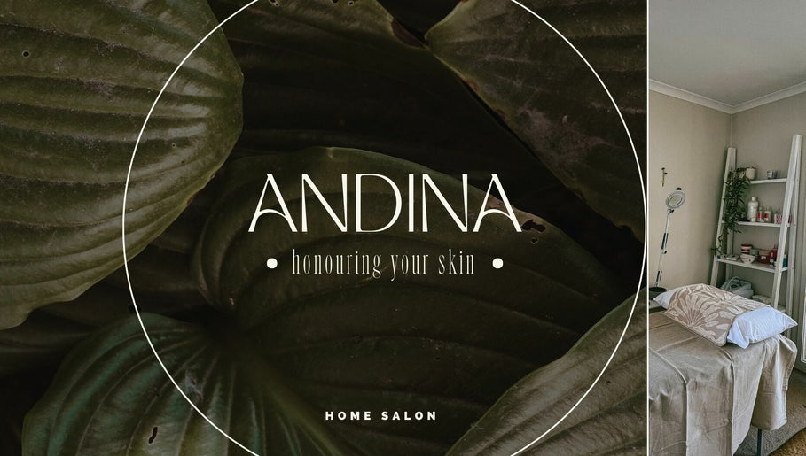 Andina Skin billede 1