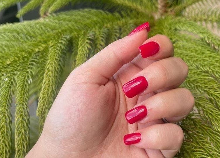 Glossy red manicured nails at Nice Nails and Wellness, Johannesburg, Gauteng, ZA with green foliage.