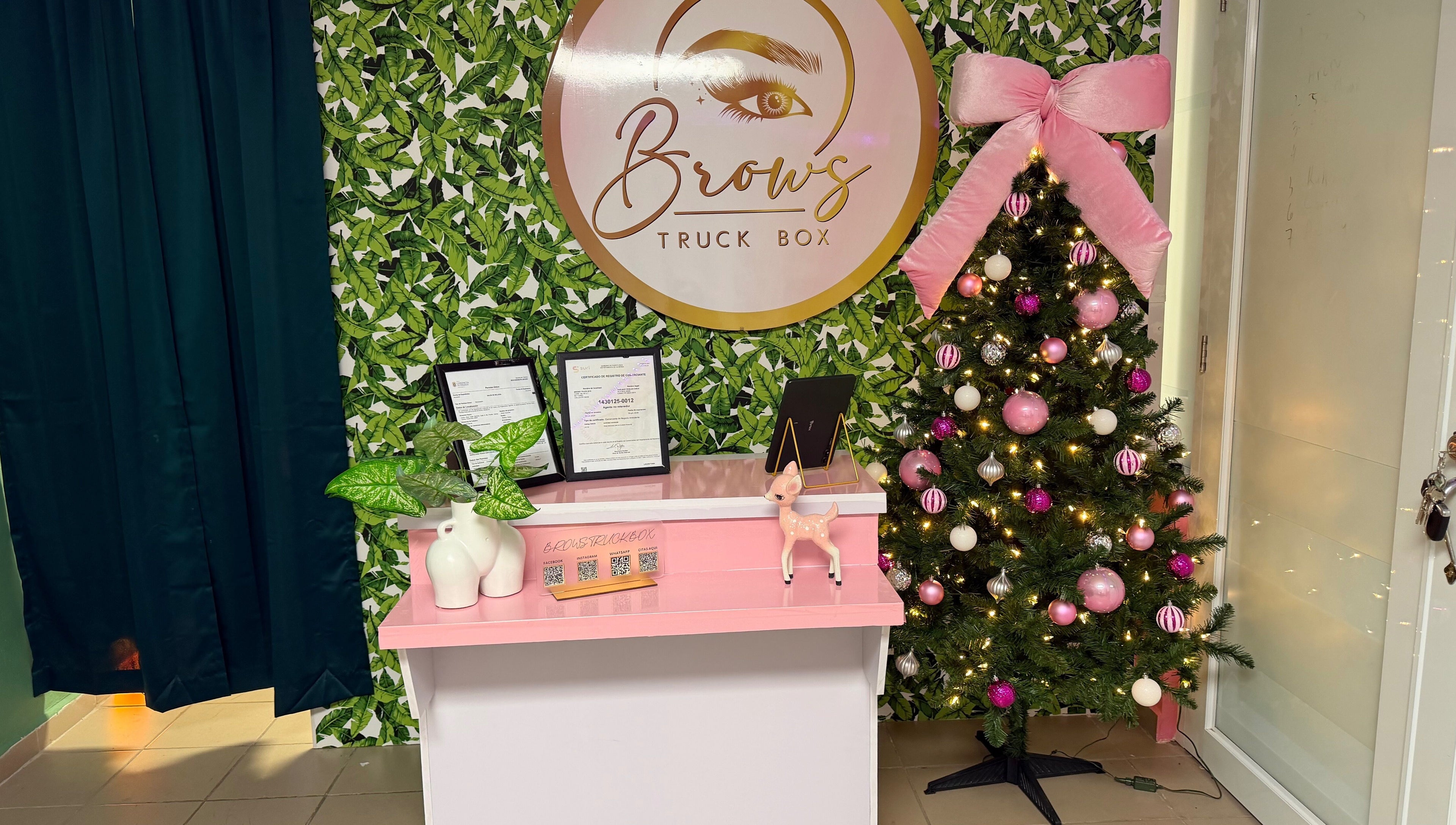 Decoración festiva en Brows Truck Box, Camuy, US, con árbol de Navidad y mostrador elegante.