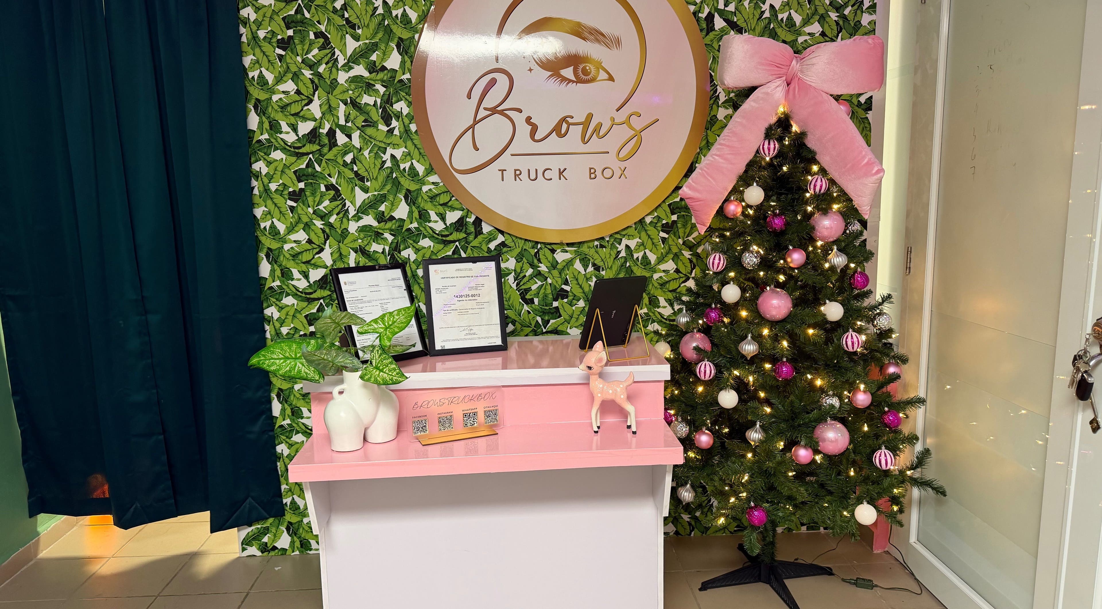 Decoración festiva en Brows Truck Box, Camuy, US, con árbol de Navidad y mostrador elegante.