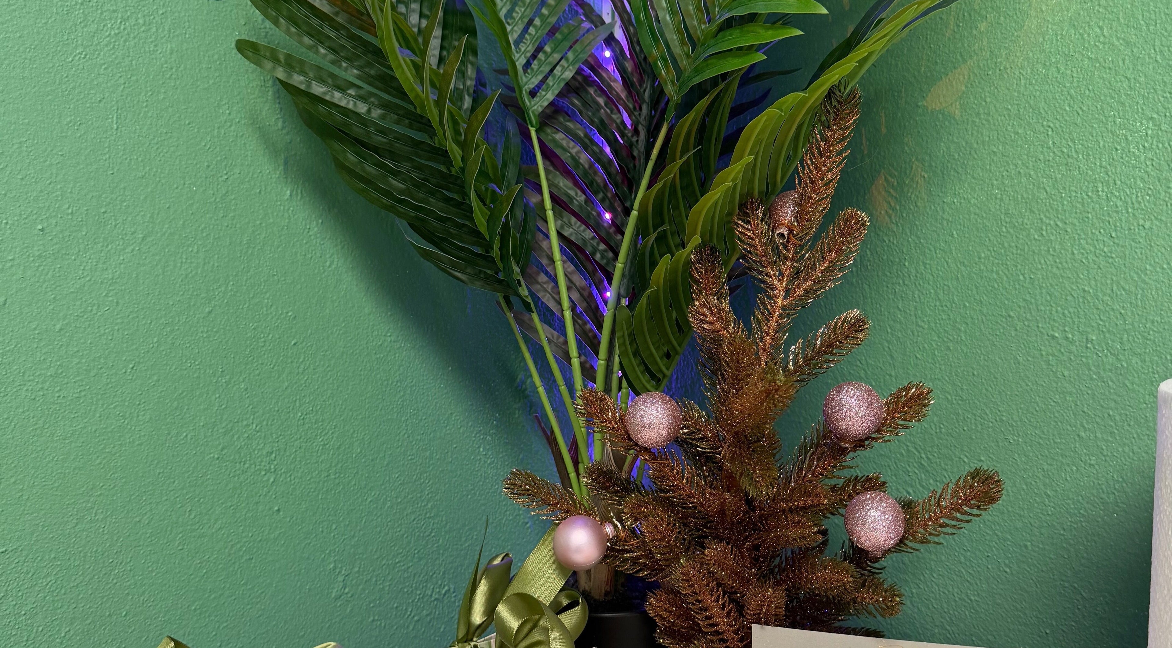 Decoración natural en Brows Truck Box, Camuy, US, con plantas verdes y adornos festivos.