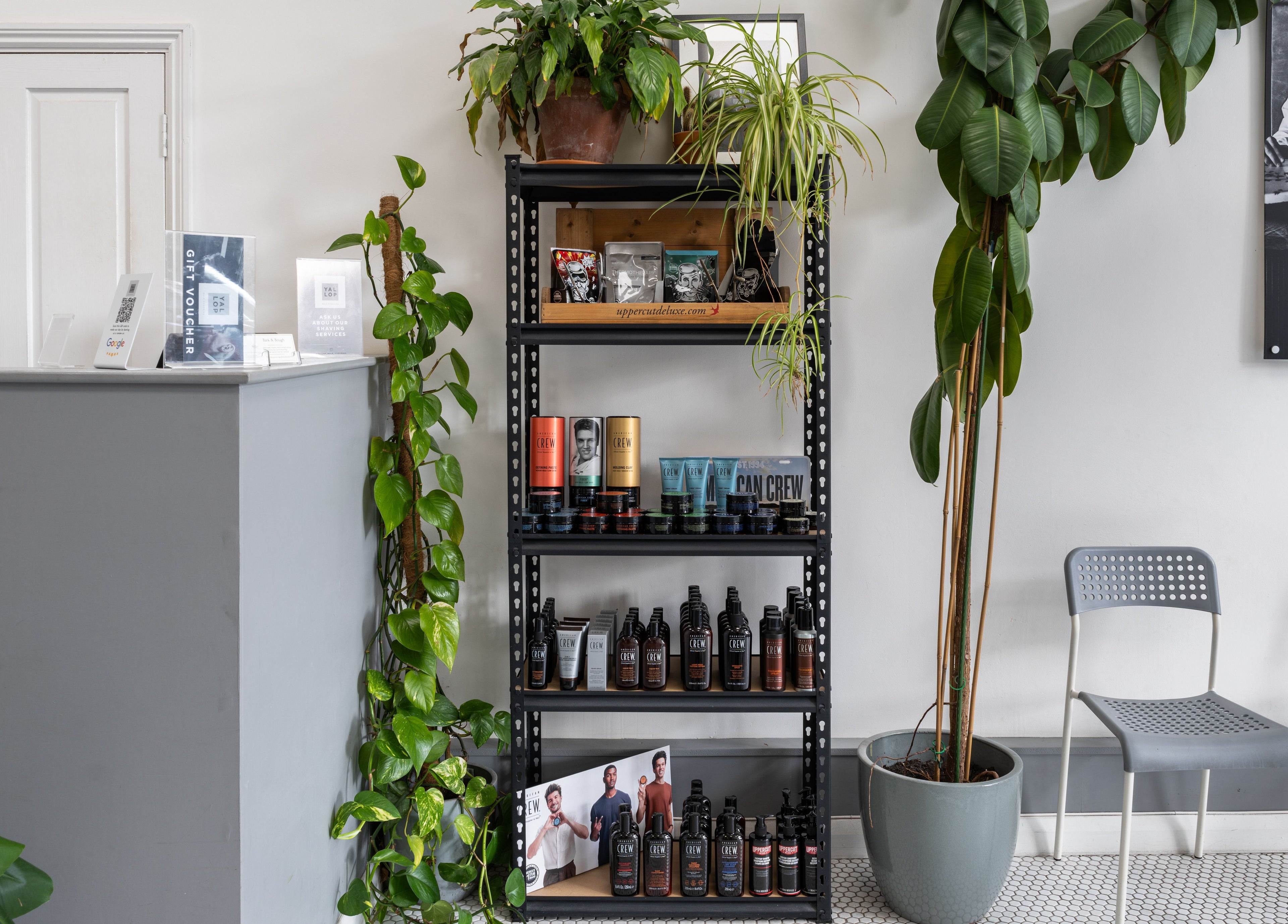 Modern reception at Yallop, London, England, GB with sleek shelves and vibrant plants.
