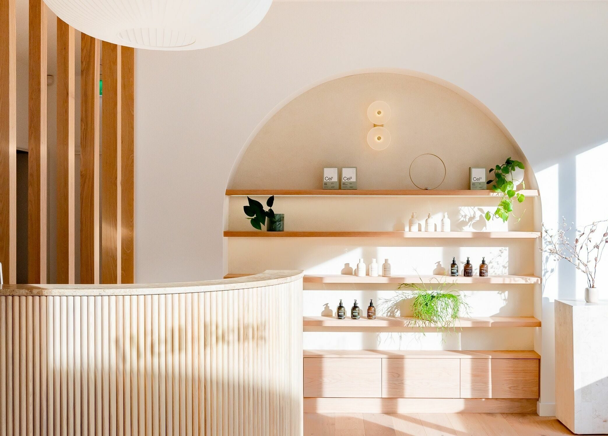 Calming interior of Well and Being, Dunedin, Otago, NZ showcasing modern design and natural light.