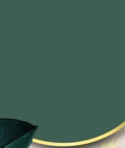 Sophisticated green and gold design at The Lash and Beauty Spa, Cape Town, Western Cape, ZA.
