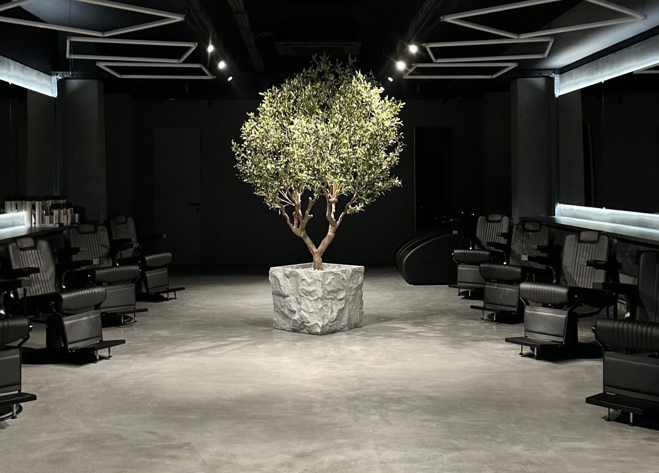 Interior elegant la FADE FACTORY PALLADY, București, București, RO, cu scaune și un copac central.