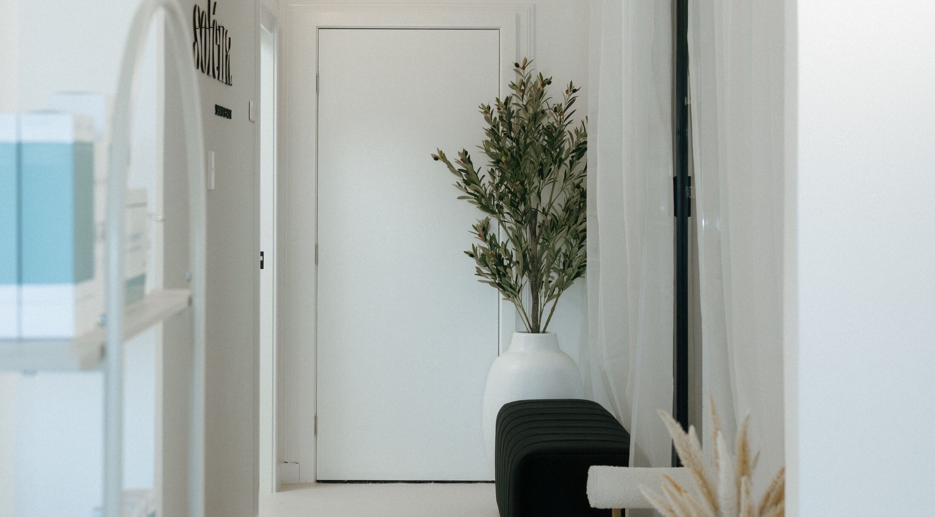 Elegant hallway at Solena Skin & Beauty, Morisset, New South Wales, AU featuring a potted plant and stylish decor.