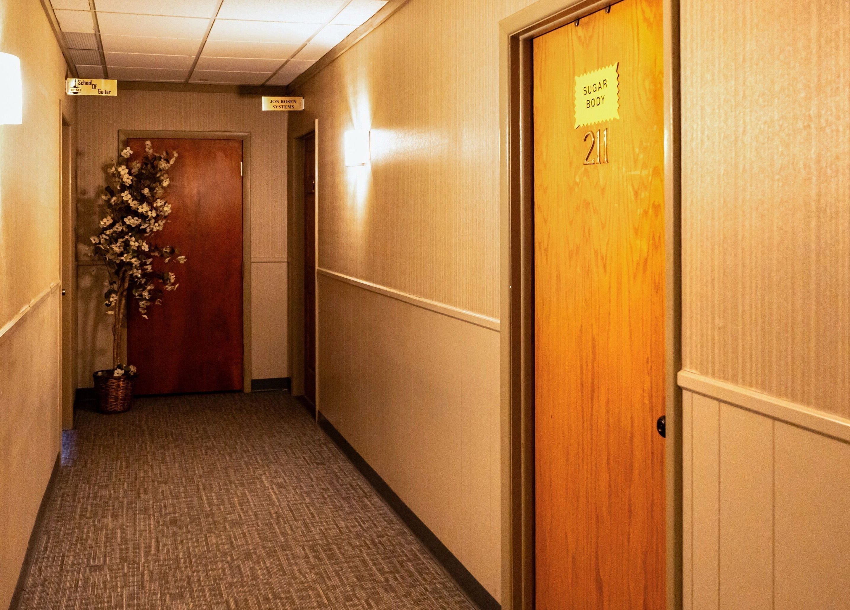 Calm hallway at Sugar Body Eco-Spa, Buffalo, New York, US with soft lighting and a plant accent.