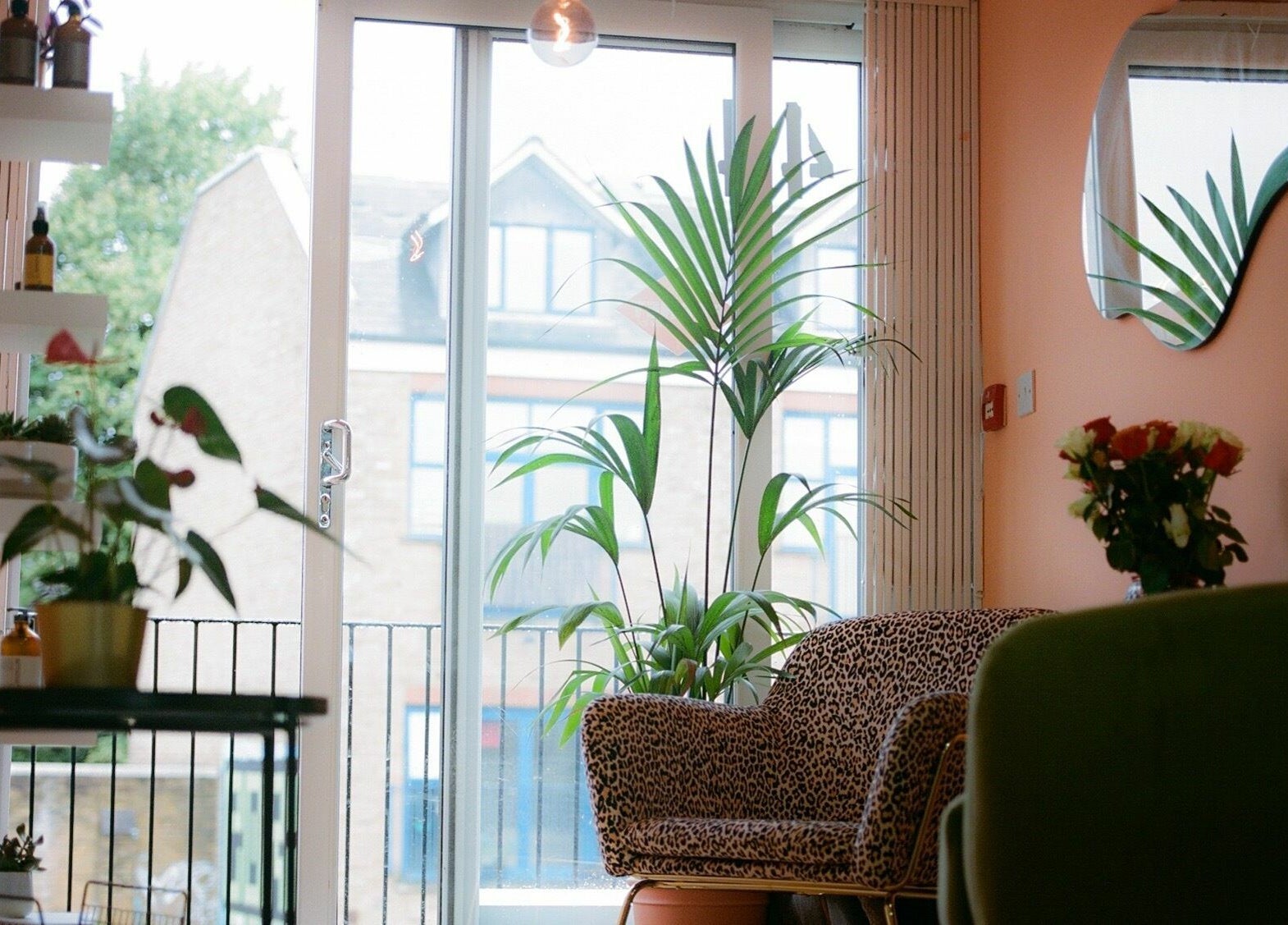 Relaxing room at Barnet Fair featuring lush plants, a sofa, and a large window in London, England, GB.