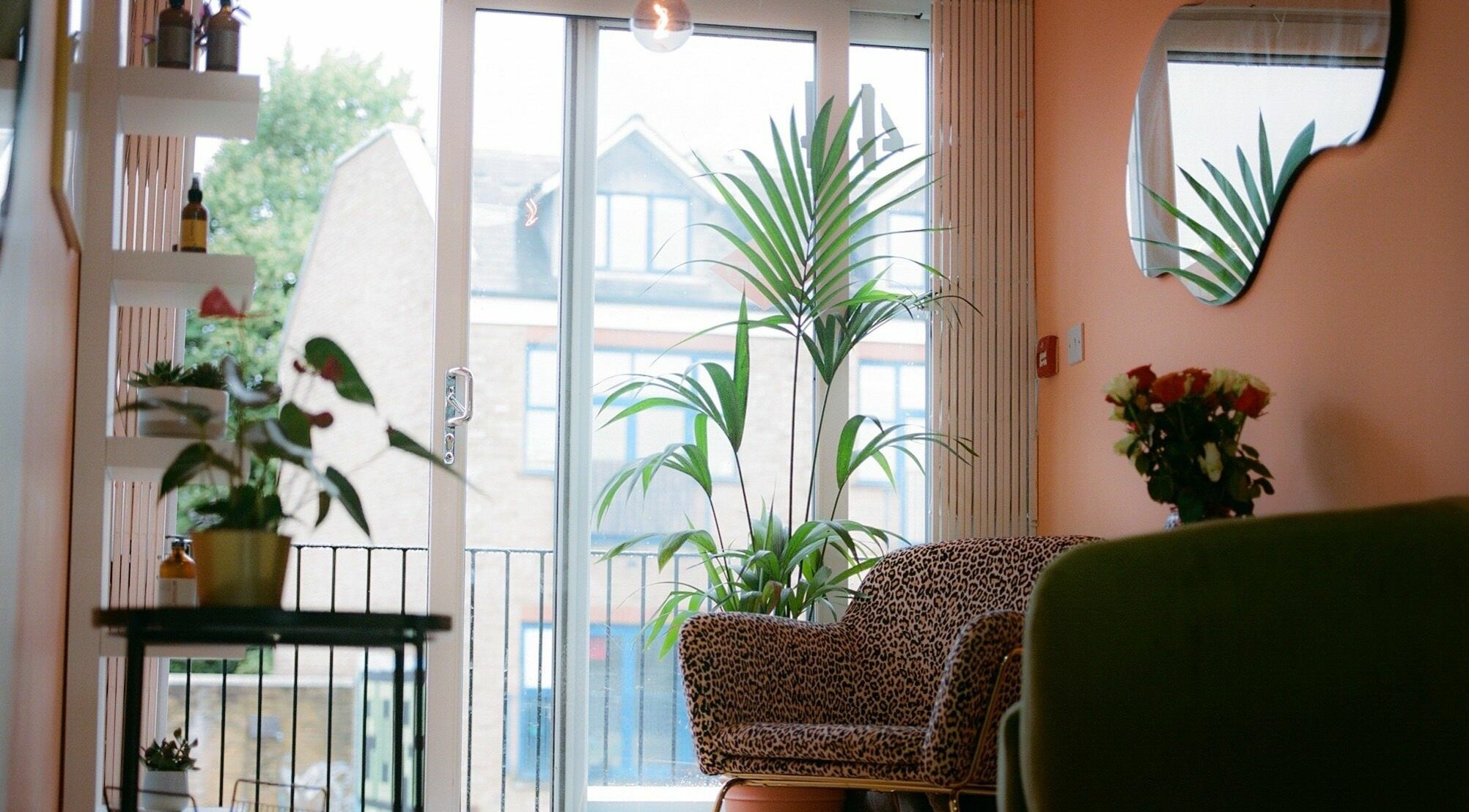 Relaxing room at Barnet Fair featuring lush plants, a sofa, and a large window in London, England, GB.