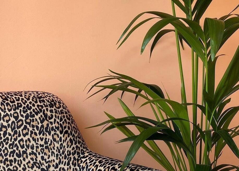 Stylish leopard print chair and lush plant at Barnet Fair, London, England, GB. A chic, relaxing atmosphere.