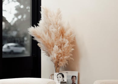 Elegant corner of Vanity, Leicester, England, GB with pampas grass and beauty magazines.
