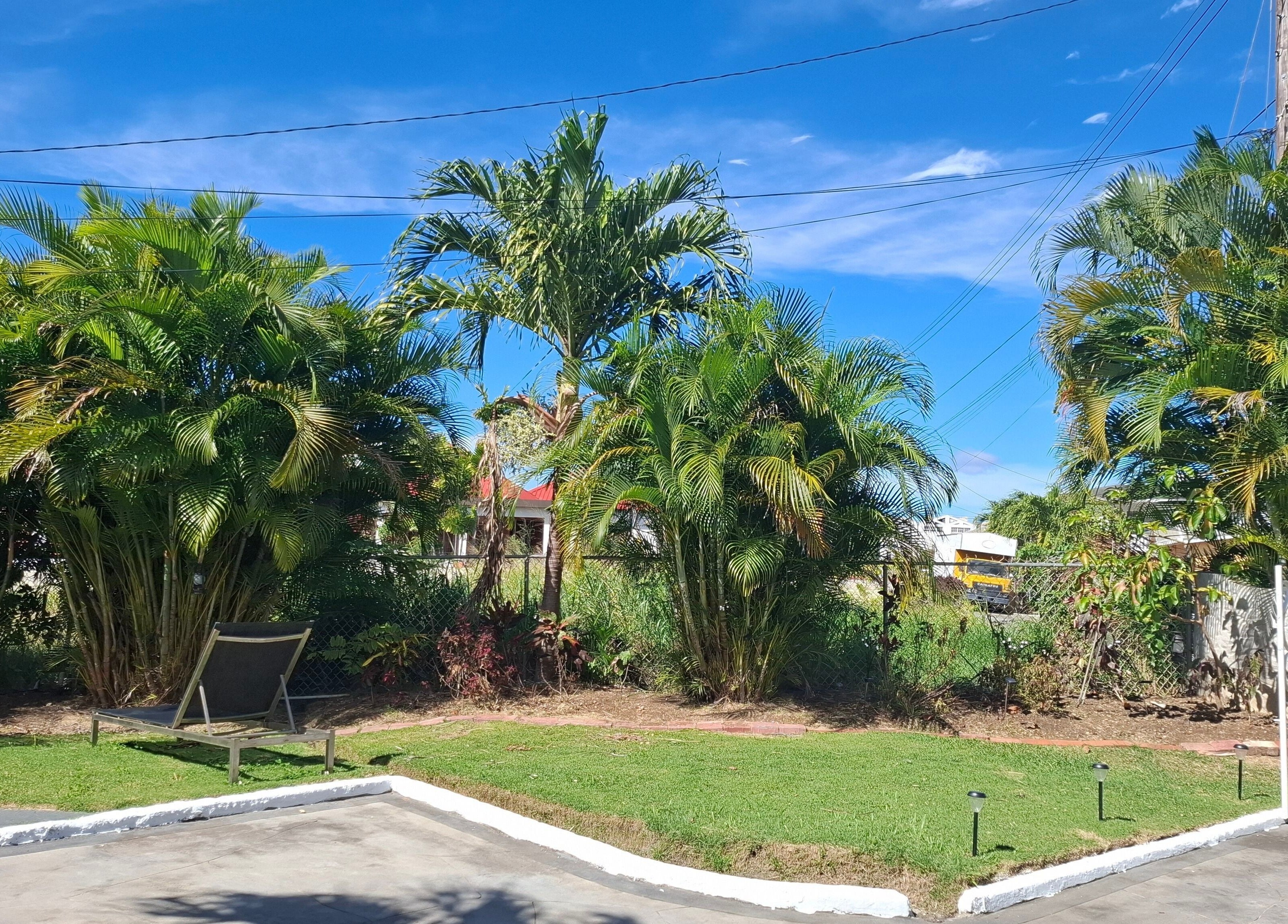 Lush greenery at Khulula Therapy in Saint James, BB, offering a serene wellness escape.