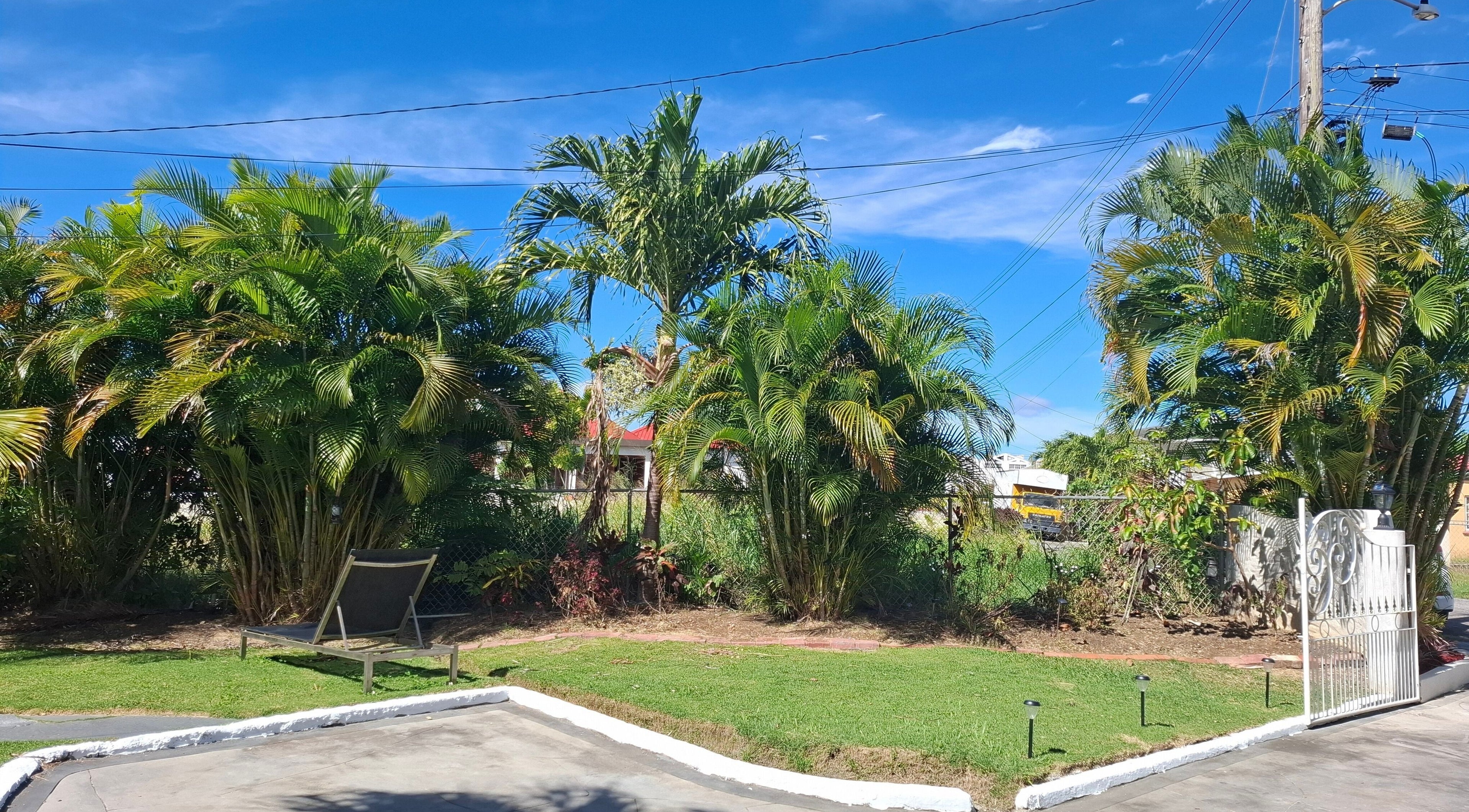 Lush greenery at Khulula Therapy in Saint James, BB, offering a serene wellness escape.