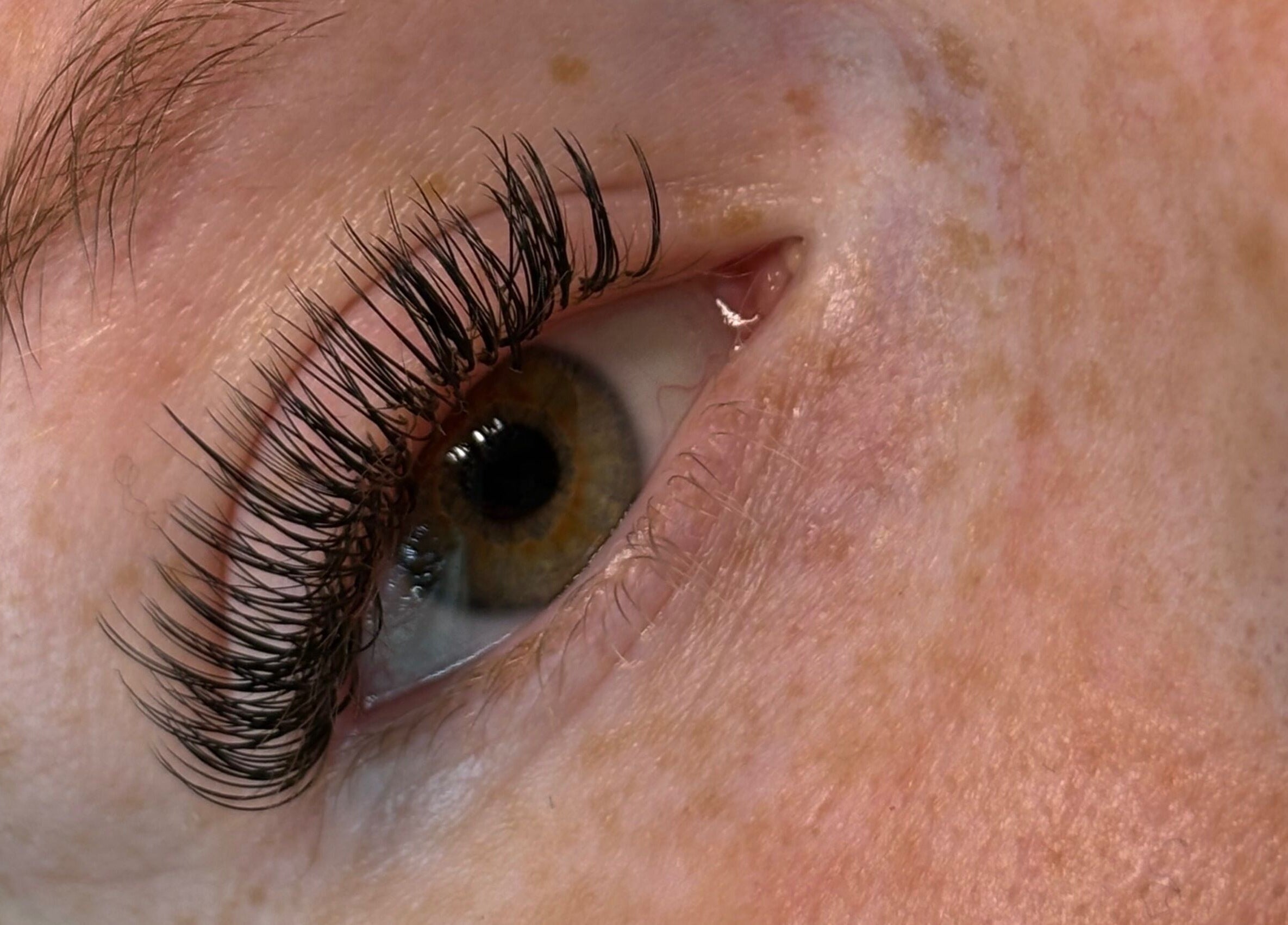 Close-up of eyelash extensions at Aesthetics by Amie, Calgary, Alberta, CA.