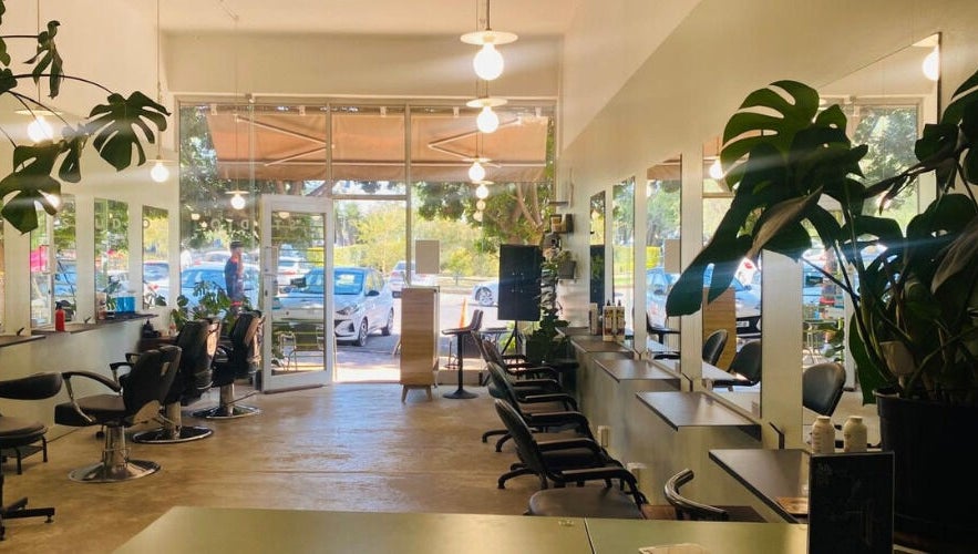 Chic interior of Birdhaven Studio in Johannesburg, Gauteng, ZA, showcasing stylish salon chairs and greenery.