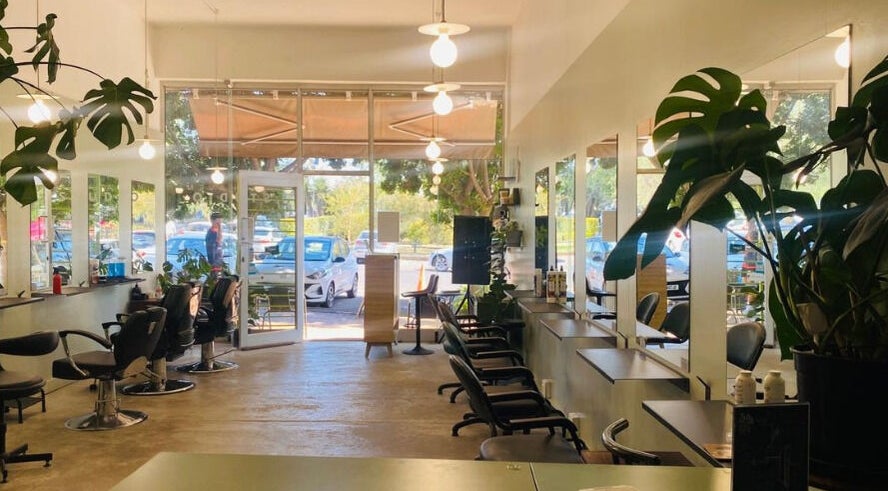 Chic interior of Birdhaven Studio in Johannesburg, Gauteng, ZA, showcasing stylish salon chairs and greenery.