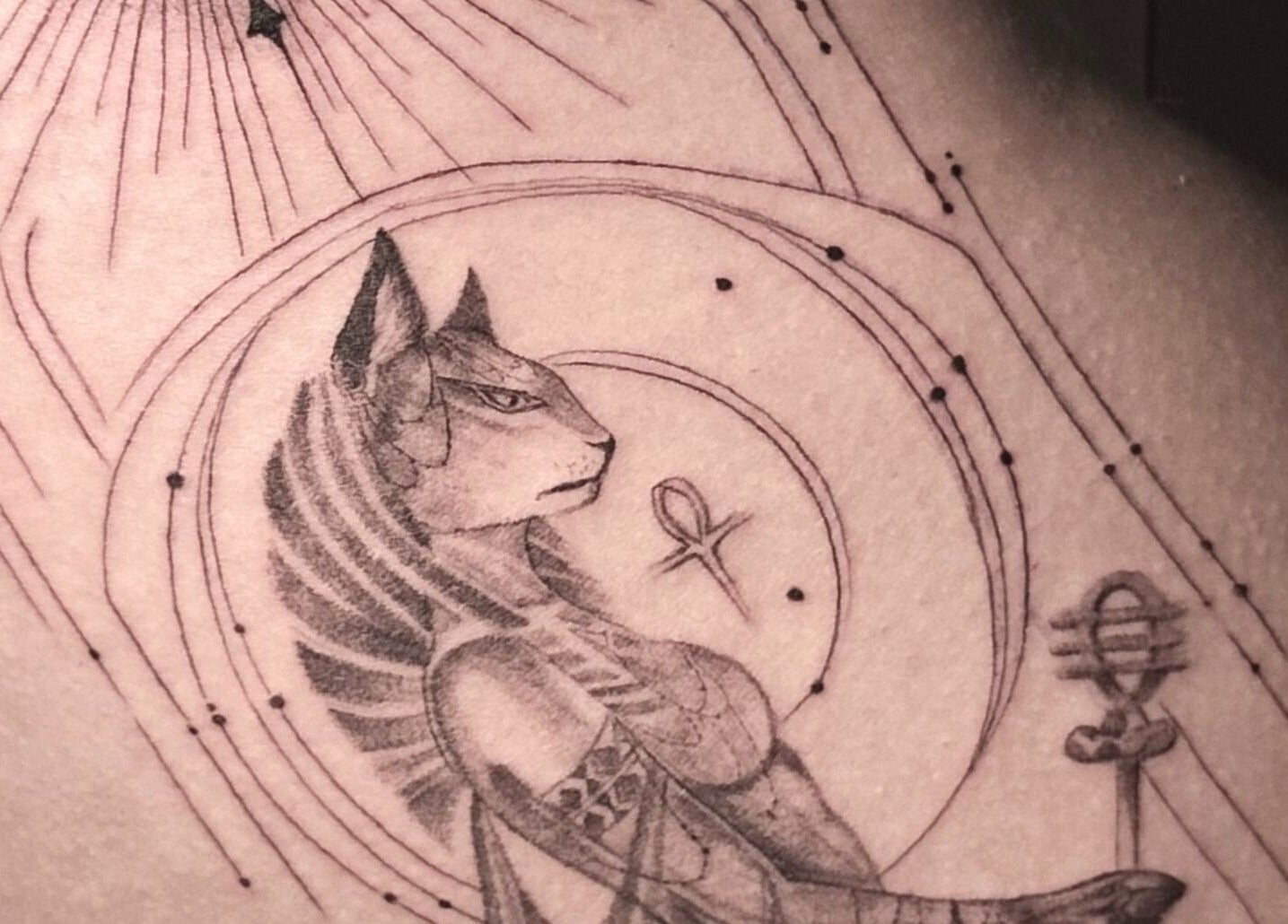 Intricate cat tattoo from Nataly at Meadow & Charm - Council Bluffs, Council Bluffs, Iowa, US.